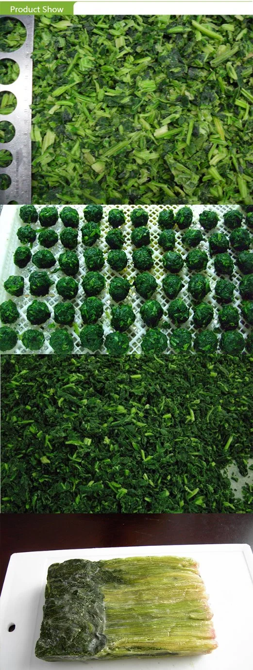 Top Quality Frozen Chopped Spinach with Good Price