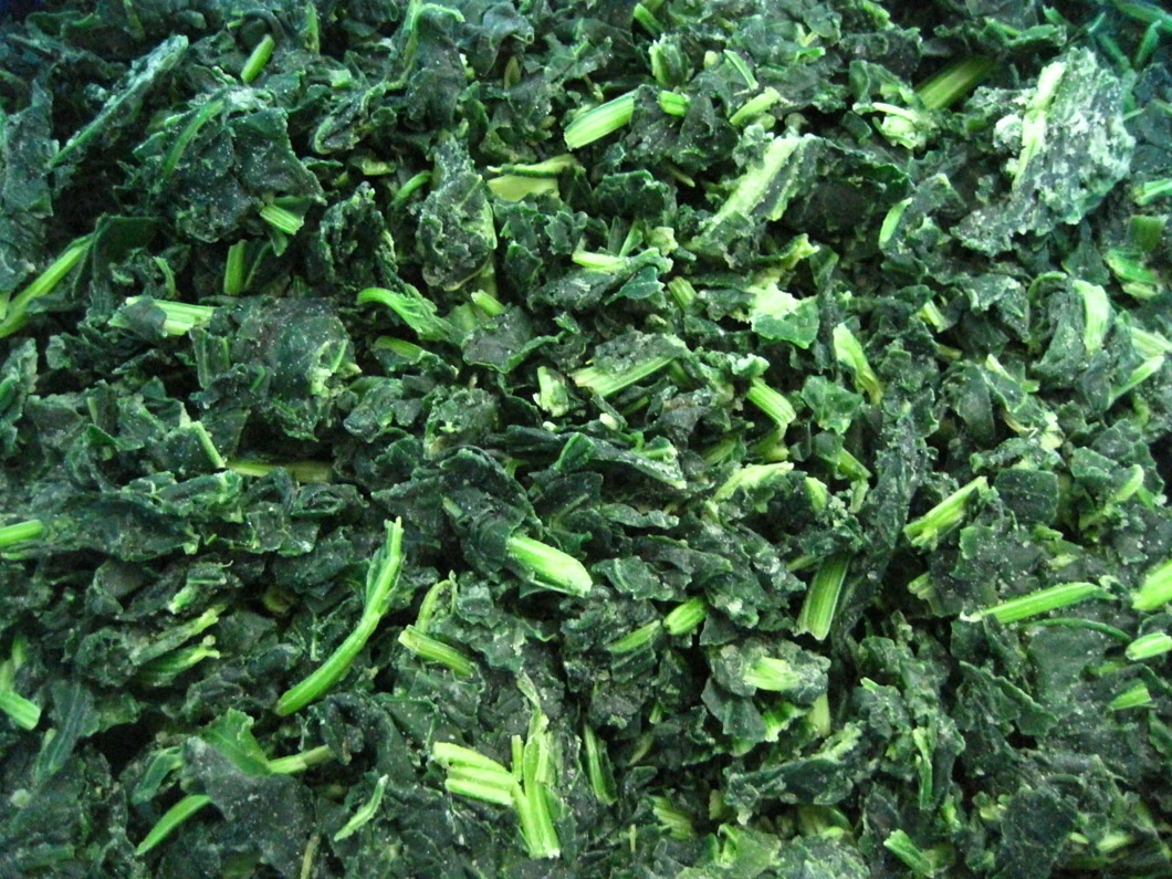 High Quality IQF Chopped Spinach 3/8