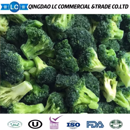 고품질 냉동 브로콜리를 최고의 가격으로 만나보세요